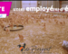 #OnRecrute chez De Pierpont Les Volailles d'Occiatnie