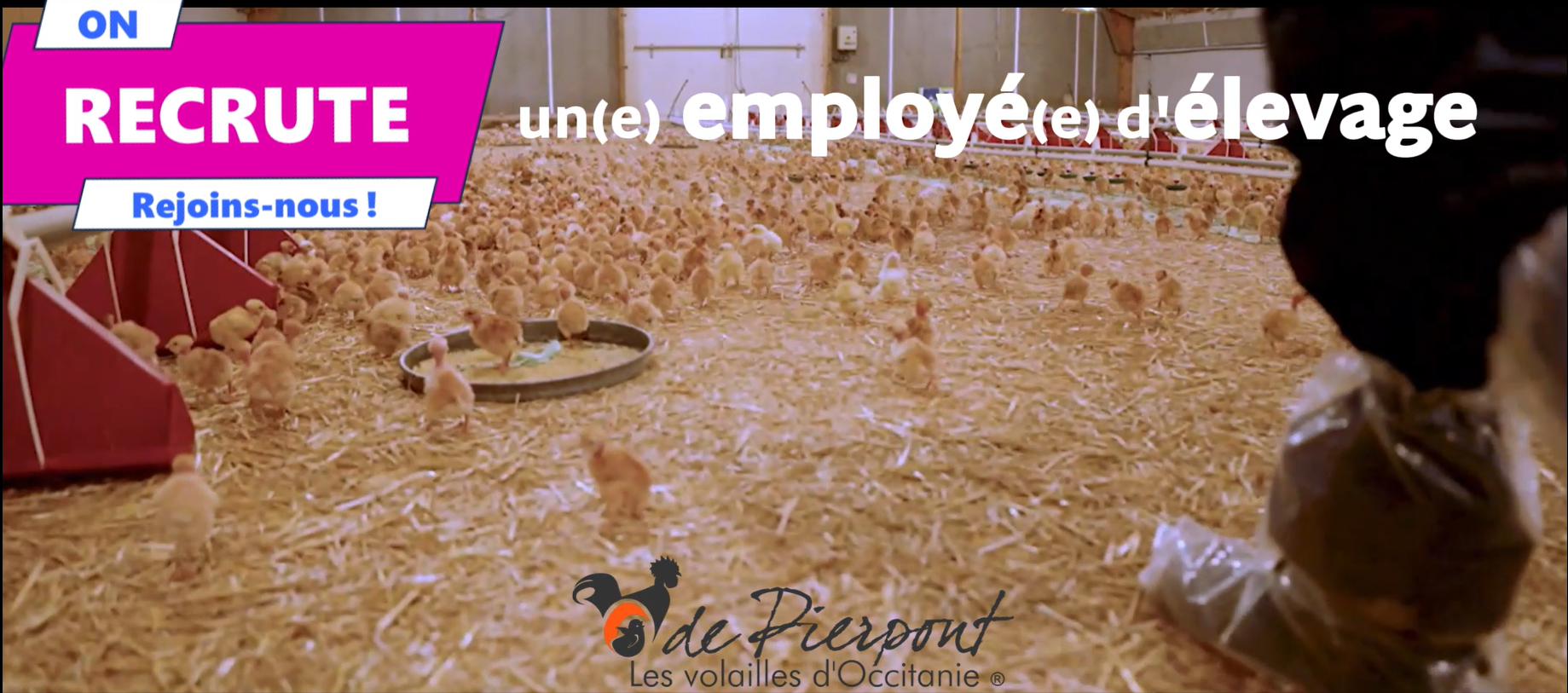 #OnRecrute chez De Pierpont Les Volailles d'Occiatnie