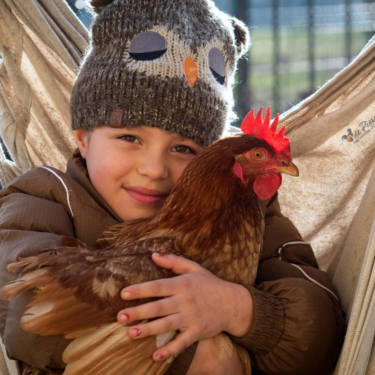 enfant-poule-hac-infinitygraphic-fr